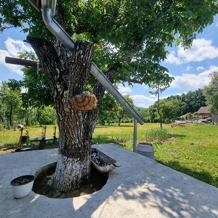 Casa Primitoare In Inima Naturii Si Padurii Rasca  Bagian luar foto