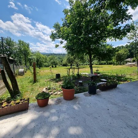 Casa Primitoare In Inima Naturii Si Padurii Rasca  Bagian luar foto