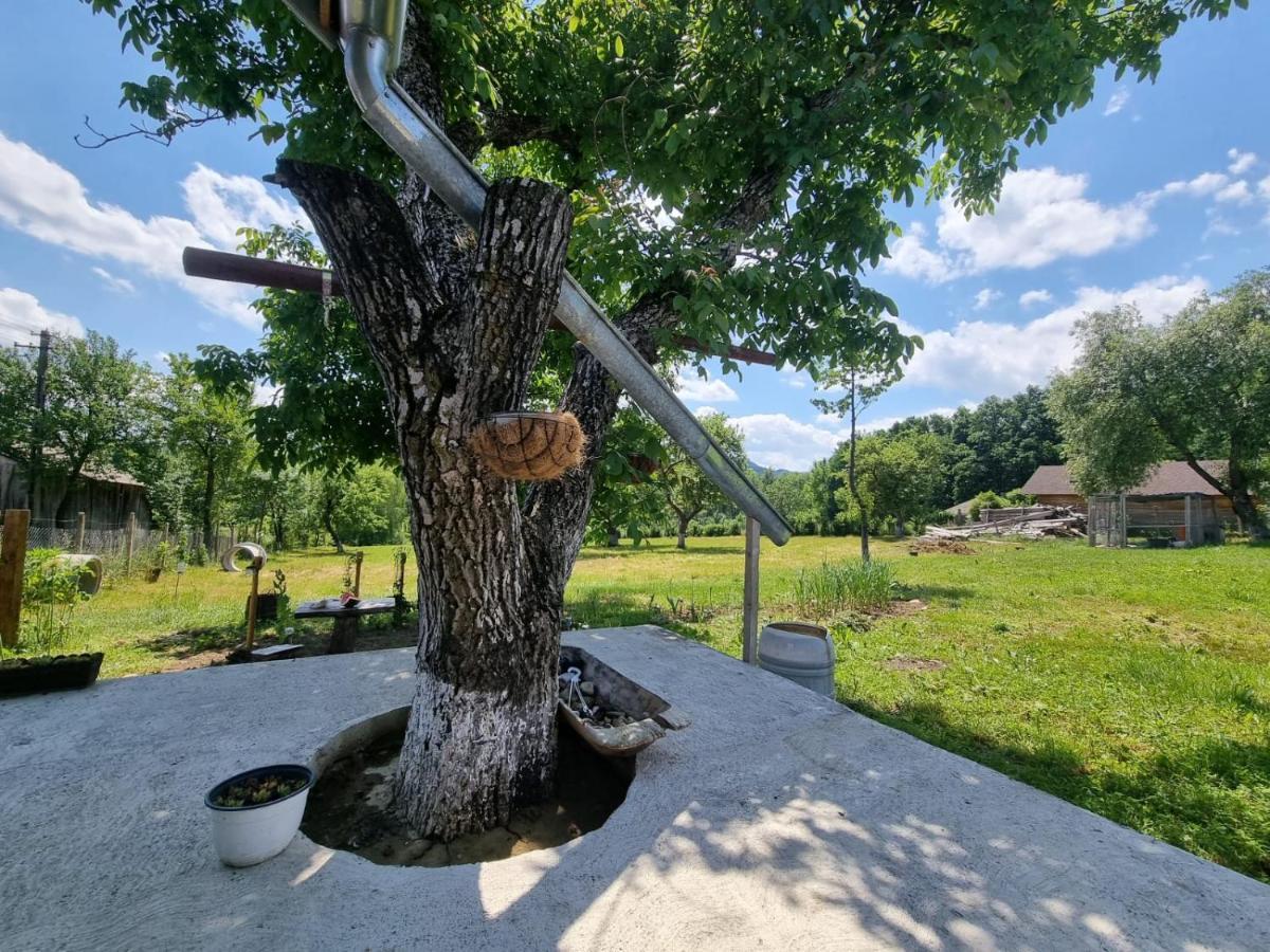 Casa Primitoare In Inima Naturii Si Padurii Rasca  Bagian luar foto