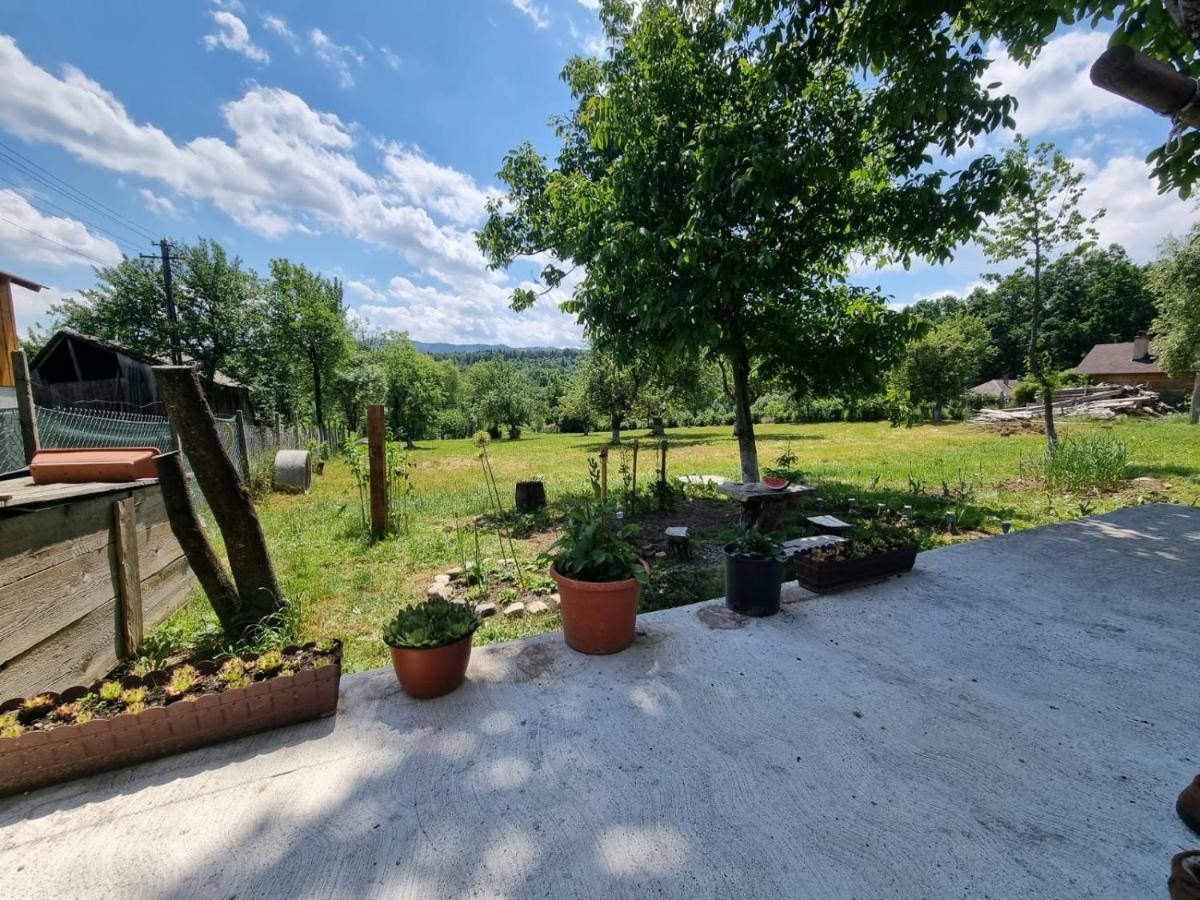 Casa Primitoare In Inima Naturii Si Padurii Rasca  Bagian luar foto