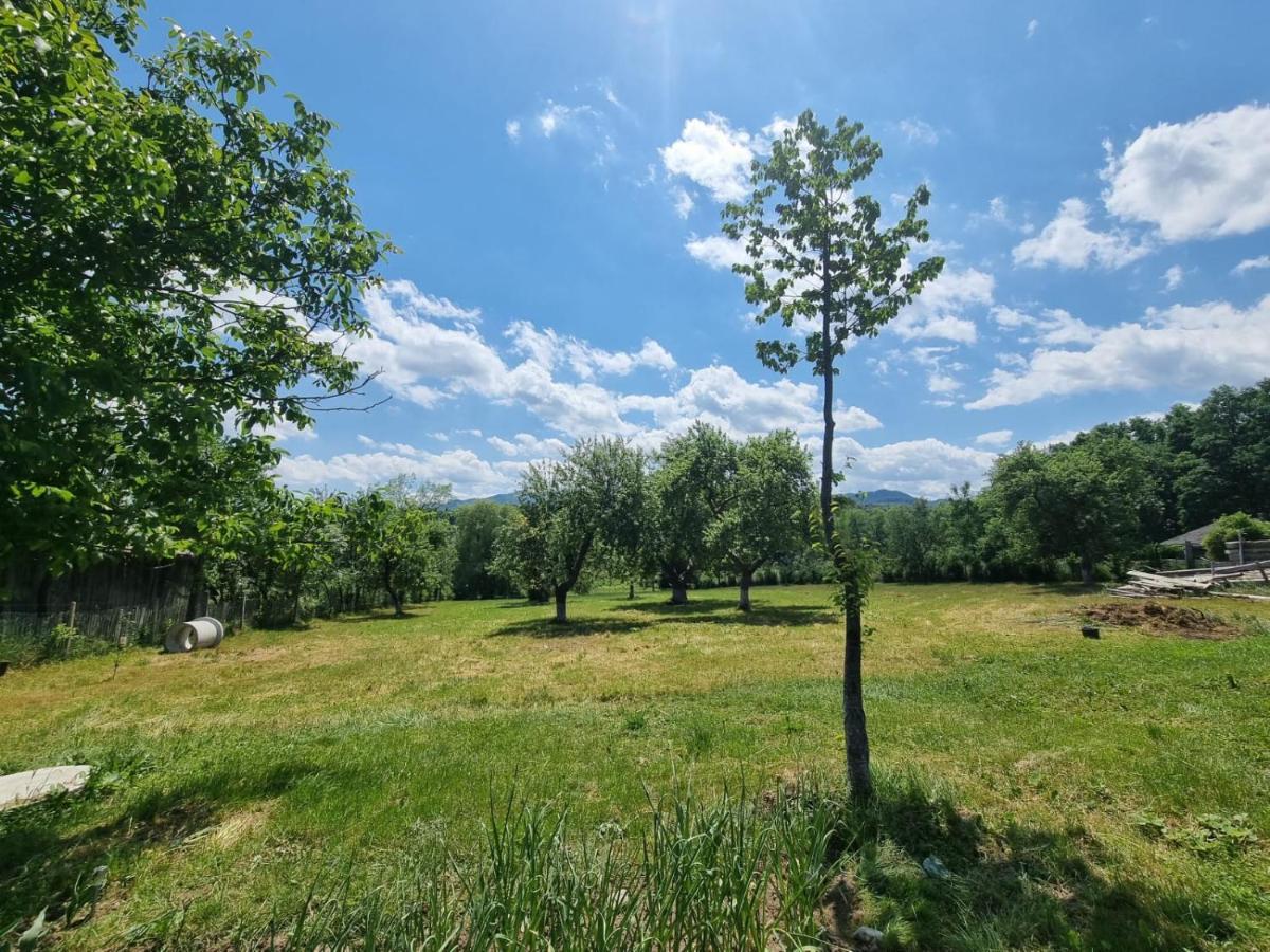 Casa Primitoare In Inima Naturii Si Padurii Rasca  Bagian luar foto